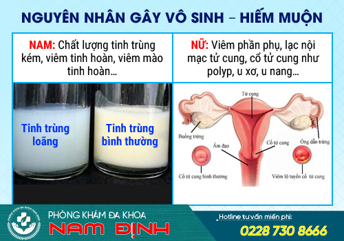 vô sinh hiếm muộn
