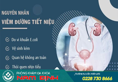 viêm đường tiết niệu